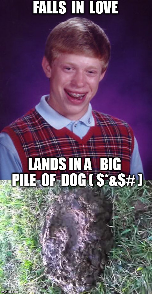 FALLS  IN  LOVE LANDS IN A   BIG  PILE  OF  DOG ( $*&$# ) | image tagged in memes,bad luck brian | made w/ Imgflip meme maker