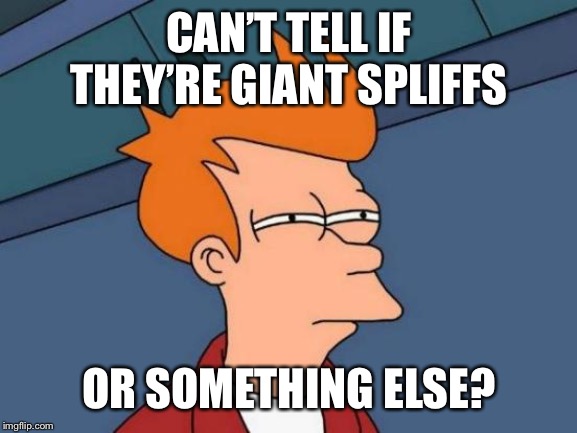 Futurama Fry Meme | CAN’T TELL IF THEY’RE GIANT SPLIFFS OR SOMETHING ELSE? | image tagged in memes,futurama fry | made w/ Imgflip meme maker
