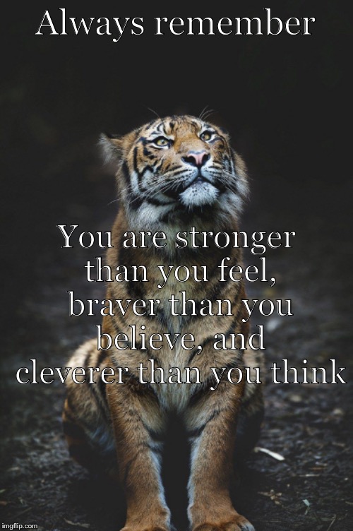 The tiger is a strong animal, but it always starts as a little cub | Always remember; You are stronger than you feel, braver than you believe, and cleverer than you think | image tagged in animals,tiger | made w/ Imgflip meme maker