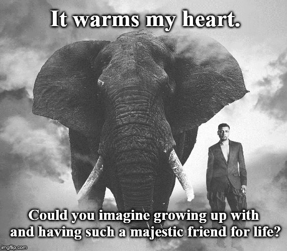 Once upon a time...we cared about other things beside our self. | It warms my heart. Could you imagine growing up with and having such a majestic friend for life? | image tagged in true story | made w/ Imgflip meme maker
