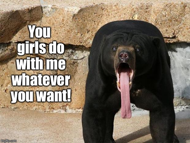 Bear with tongue sticking out | You girls do with me whatever you want! | image tagged in bear with tongue sticking out | made w/ Imgflip meme maker