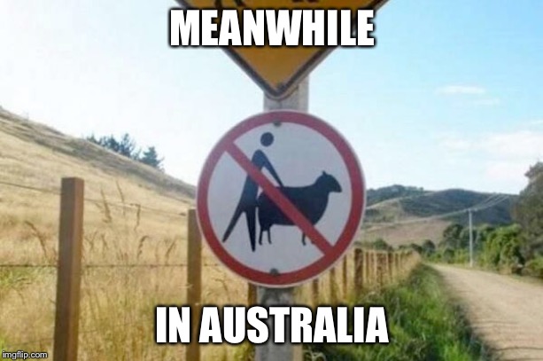 Do you come in the land down under...? | MEANWHILE; IN AUSTRALIA | image tagged in sheep,road signs | made w/ Imgflip meme maker