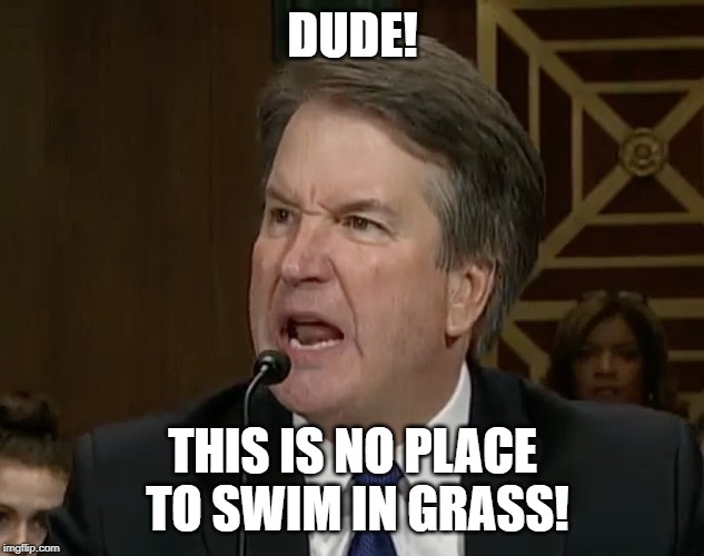 Raging Kavanaugh | DUDE! THIS IS NO PLACE TO SWIM IN GRASS! | image tagged in raging kavanaugh | made w/ Imgflip meme maker