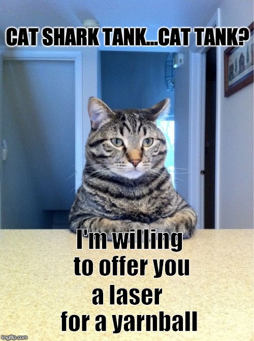 Take A Seat Cat Meme | CAT SHARK TANK...CAT TANK? I'm willing to offer you; a laser for a yarnball | image tagged in memes,take a seat cat,shark tank | made w/ Imgflip meme maker