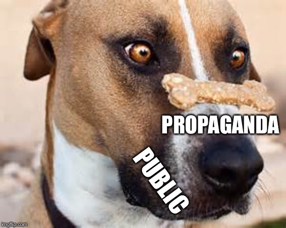 Snatches That Bad Boy Up Without a Thought |  PROPAGANDA; PUBLIC | image tagged in dog,propaganda,public,corporate media,treat training | made w/ Imgflip meme maker
