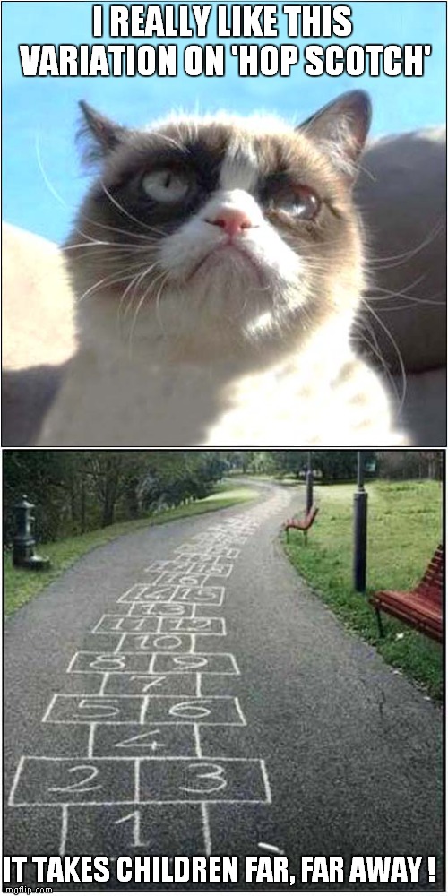 Grumpys' Hop Scotch Dream | I REALLY LIKE THIS VARIATION ON 'HOP SCOTCH'; IT TAKES CHILDREN FAR, FAR AWAY ! | image tagged in cats,grumpy cat,hop scotch | made w/ Imgflip meme maker