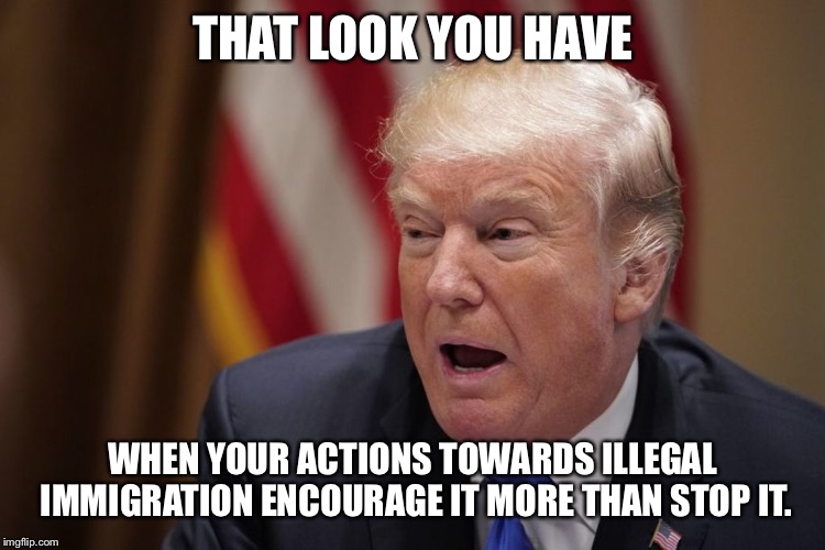 How’s it working out for ya? | THAT LOOK YOU HAVE; WHEN YOUR ACTIONS TOWARDS ILLEGAL IMMIGRATION ENCOURAGE IT MORE THAN STOP IT. | image tagged in donald trump,illegal immigration,fails,sanctuary cities,encouragement | made w/ Imgflip meme maker