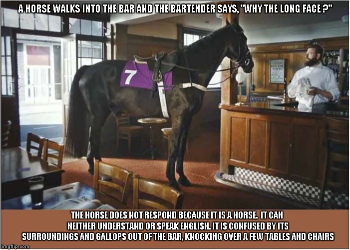 A Horse Walks Into The Bar | A HORSE WALKS INTO THE BAR AND THE BARTENDER SAYS, "WHY THE LONG FACE ?"; THE HORSE DOES NOT RESPOND BECAUSE IT IS A HORSE.  IT CAN NEITHER UNDERSTAND OR SPEAK ENGLISH. IT IS CONFUSED BY ITS SURROUNDINGS AND GALLOPS OUT OF THE BAR, KNOCKING OVER A FEW TABLES AND CHAIRS | image tagged in fun,a horse walks into a bar | made w/ Imgflip meme maker