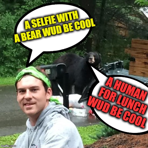 Human glitch | A SELFIE WITH A BEAR WUD BE COOL; A HUMAN FOR LUNCH WUD BE COOL | image tagged in stupid people,bear,lunch time,selfie,darwin award | made w/ Imgflip meme maker