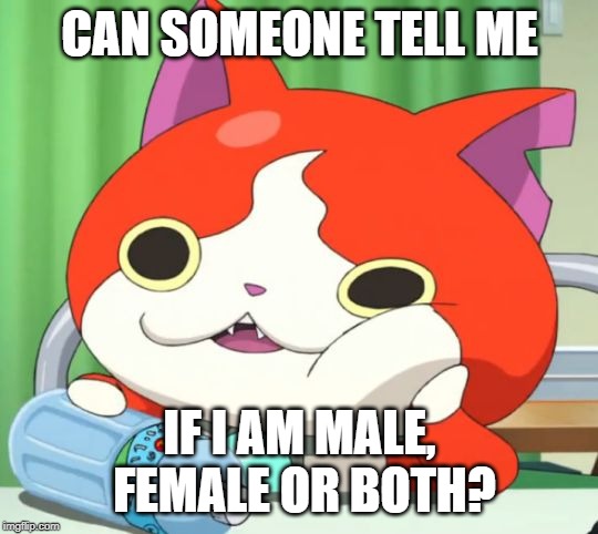 Jibs wants to know what gender he/she/it is | CAN SOMEONE TELL ME; IF I AM MALE, FEMALE OR BOTH? | image tagged in interested jibanyan | made w/ Imgflip meme maker