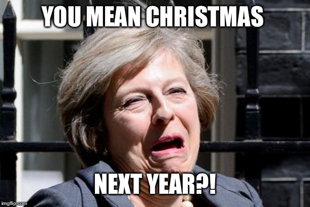 Theresa May UKIP PM Brexit | YOU MEAN CHRISTMAS NEXT YEAR?! | image tagged in theresa may ukip pm brexit | made w/ Imgflip meme maker