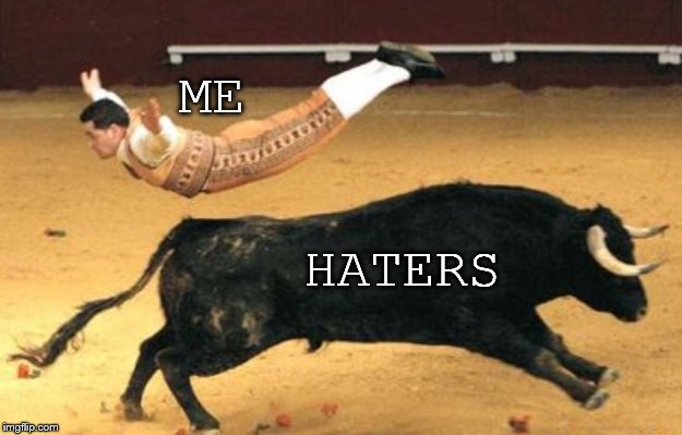 The secret to a stress-free life: | ME; HATERS | image tagged in haters,bull fighting | made w/ Imgflip meme maker