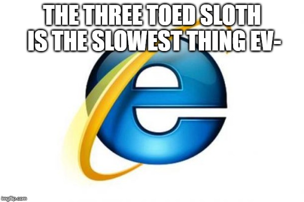 Internet Explorer Meme | THE THREE TOED SLOTH IS THE SLOWEST THING EV- | image tagged in memes,internet explorer | made w/ Imgflip meme maker