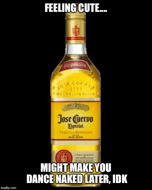 Tequila bottle | FEELING CUTE.... MIGHT MAKE YOU DANCE NAKED LATER, IDK | image tagged in tequila bottle | made w/ Imgflip meme maker
