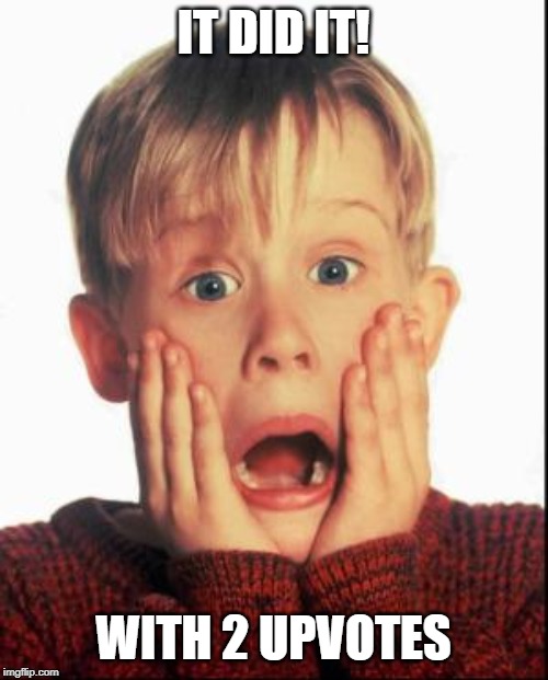 Home Alone Kid  | IT DID IT! WITH 2 UPVOTES | image tagged in home alone kid | made w/ Imgflip meme maker