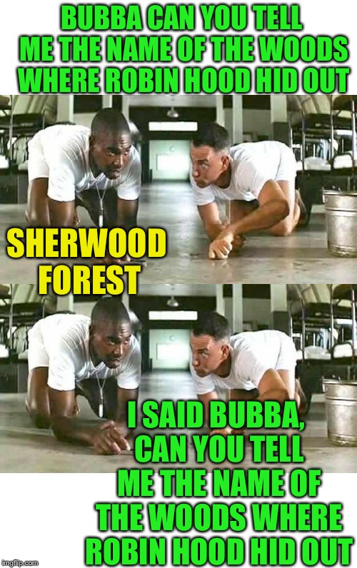 Huh? | BUBBA CAN YOU TELL ME THE NAME OF THE WOODS WHERE ROBIN HOOD HID OUT; SHERWOOD FOREST; I SAID BUBBA, CAN YOU TELL ME THE NAME OF THE WOODS WHERE ROBIN HOOD HID OUT | image tagged in forrest and bubba | made w/ Imgflip meme maker