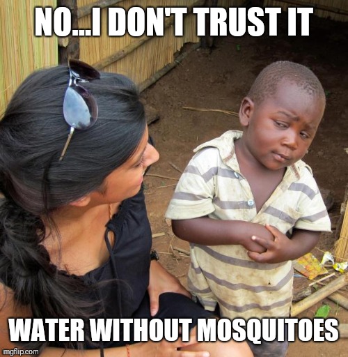 3rd World Sceptical Child | NO...I DON'T TRUST IT; WATER WITHOUT MOSQUITOES | image tagged in 3rd world sceptical child | made w/ Imgflip meme maker