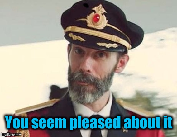 Captain Obvious | You seem pleased about it | image tagged in captain obvious | made w/ Imgflip meme maker