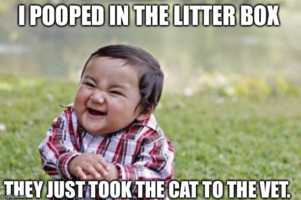 Evil Toddler | I POOPED IN THE LITTER BOX; THEY JUST TOOK THE CAT TO THE VET. | image tagged in memes,evil toddler | made w/ Imgflip meme maker