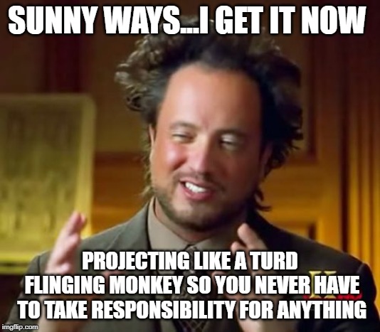 Fling it | SUNNY WAYS...I GET IT NOW; PROJECTING LIKE A TURD FLINGING MONKEY SO YOU NEVER HAVE TO TAKE RESPONSIBILITY FOR ANYTHING | image tagged in justin trudeau,trudeau,liberal logic,liberal hypocrisy,stupid liberals,meanwhile in canada | made w/ Imgflip meme maker