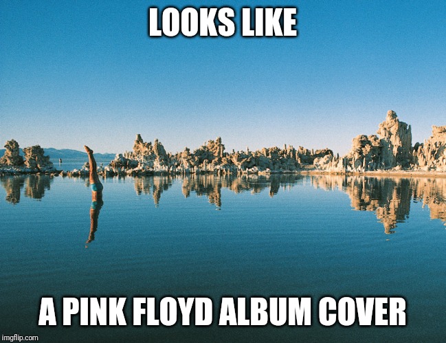 LOOKS LIKE A PINK FLOYD ALBUM COVER | made w/ Imgflip meme maker