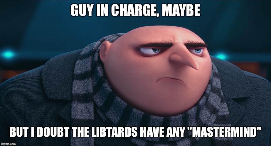 Despicable me  | GUY IN CHARGE, MAYBE BUT I DOUBT THE LIBTARDS HAVE ANY "MASTERMIND" | image tagged in despicable me | made w/ Imgflip meme maker