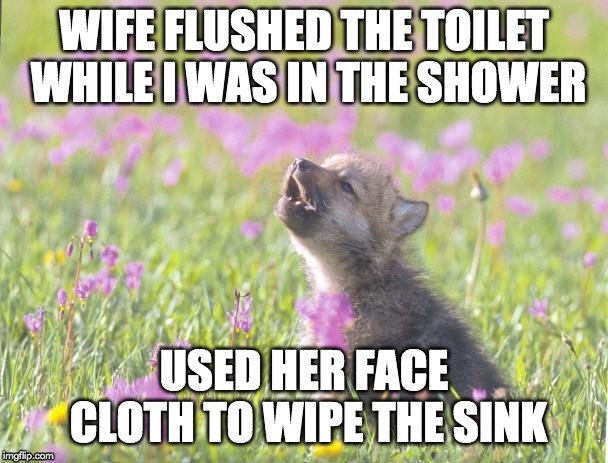 Baby Insanity Wolf | WIFE FLUSHED THE TOILET WHILE I WAS IN THE SHOWER; USED HER FACE CLOTH TO WIPE THE SINK | image tagged in memes,baby insanity wolf,AdviceAnimals | made w/ Imgflip meme maker