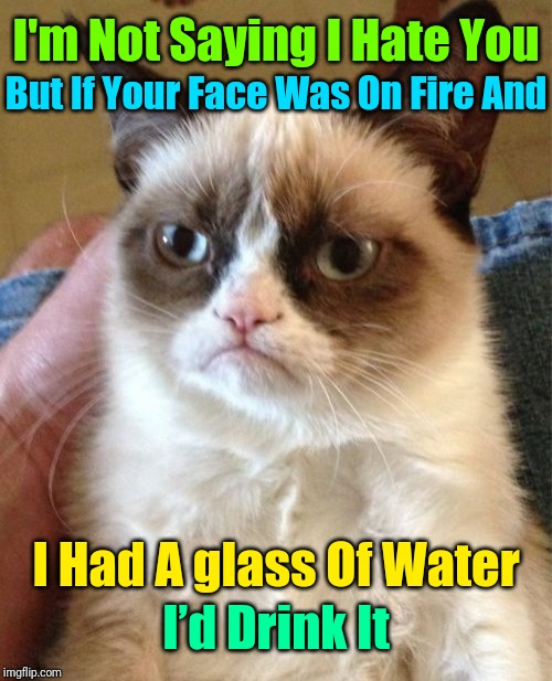 ★彡 grumpч's cσld єmσtíσns 彡★ | I'm Not Saying I Hate You; But If Your Face Was On Fire And; I Had A glass Of Water; I’d Drink It | image tagged in memes,grumpy cat | made w/ Imgflip meme maker