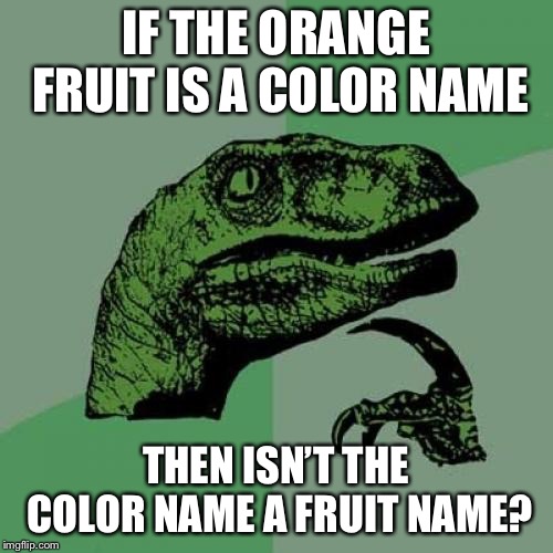 Philosoraptor Meme | IF THE ORANGE FRUIT IS A COLOR NAME; THEN ISN’T THE COLOR NAME A FRUIT NAME? | image tagged in memes,philosoraptor | made w/ Imgflip meme maker