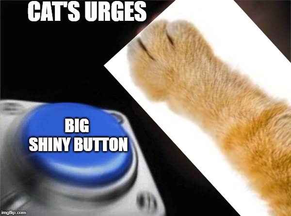 CAT'S URGES; BIG SHINY BUTTON | image tagged in blank nut button | made w/ Imgflip meme maker
