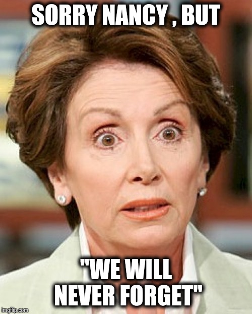 Does she care about anything ? |  SORRY NANCY , BUT; "WE WILL NEVER FORGET" | image tagged in shocked nancy pelosi,omar,stfu,politicians,show me the money,important | made w/ Imgflip meme maker