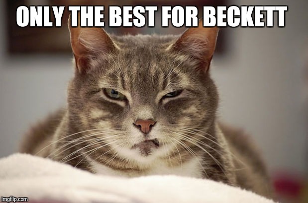 smug cat | ONLY THE BEST FOR BECKETT | image tagged in smug cat | made w/ Imgflip meme maker