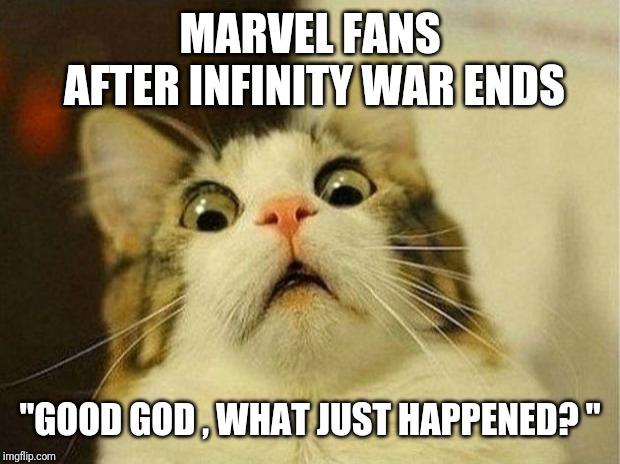 Hard-core Marvel fans | MARVEL FANS AFTER INFINITY WAR ENDS; "GOOD GOD , WHAT JUST HAPPENED? " | image tagged in memes,scared cat | made w/ Imgflip meme maker