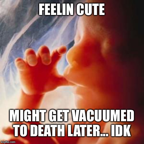 Fetus | FEELIN CUTE; MIGHT GET VACUUMED TO DEATH LATER... IDK | image tagged in fetus | made w/ Imgflip meme maker