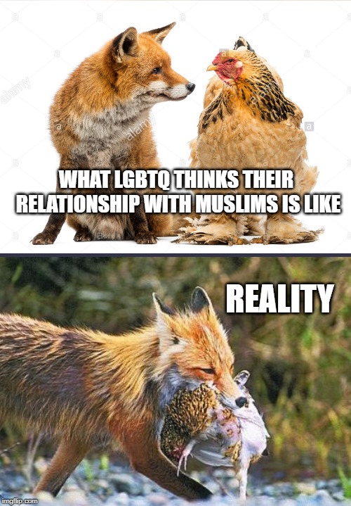 The Muslim Fox and the Gay Hen | WHAT LGBTQ THINKS THEIR RELATIONSHIP WITH MUSLIMS IS LIKE; REALITY | image tagged in fox and the hen,memes,lgbtq,muslims,reality | made w/ Imgflip meme maker
