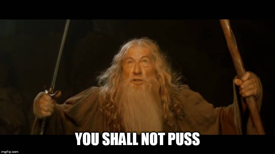 Gandalf - you shall not pass | YOU SHALL NOT PUSS | image tagged in gandalf - you shall not pass | made w/ Imgflip meme maker