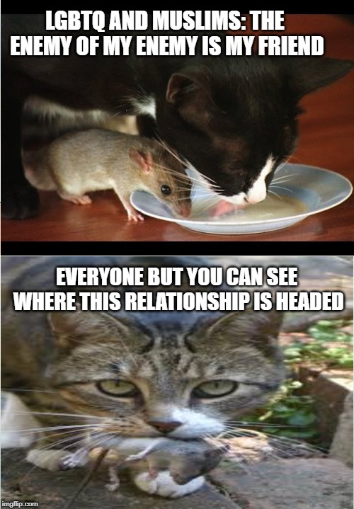 Muslim Cat and the Lesbian Gay Bisexual Transsexual Queer Mouse | LGBTQ AND MUSLIMS: THE ENEMY OF MY ENEMY IS MY FRIEND; EVERYONE BUT YOU CAN SEE WHERE THIS RELATIONSHIP IS HEADED | image tagged in muslim cat,lgbtq mouse,the enemy of my enemy is my friend,memes | made w/ Imgflip meme maker