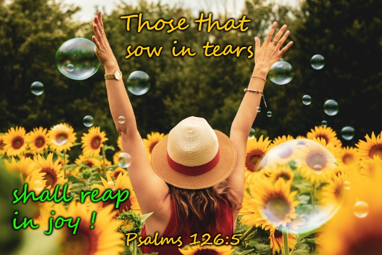 Psalms 126:5 Those That Sow In Tears Shall Reap In Joy! | Those that; sow in tears; shall reap; in joy ! Psalms 126:5 | image tagged in bible,bible verse,holy spirit,god,verse,holy ghost | made w/ Imgflip meme maker