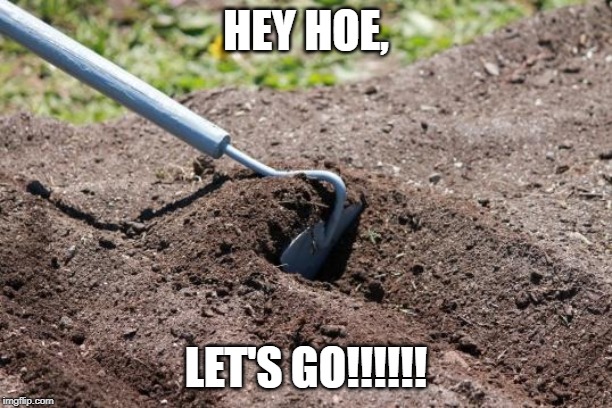 garden hoe | HEY HOE, LET'S GO!!!!!! | image tagged in garden hoe | made w/ Imgflip meme maker