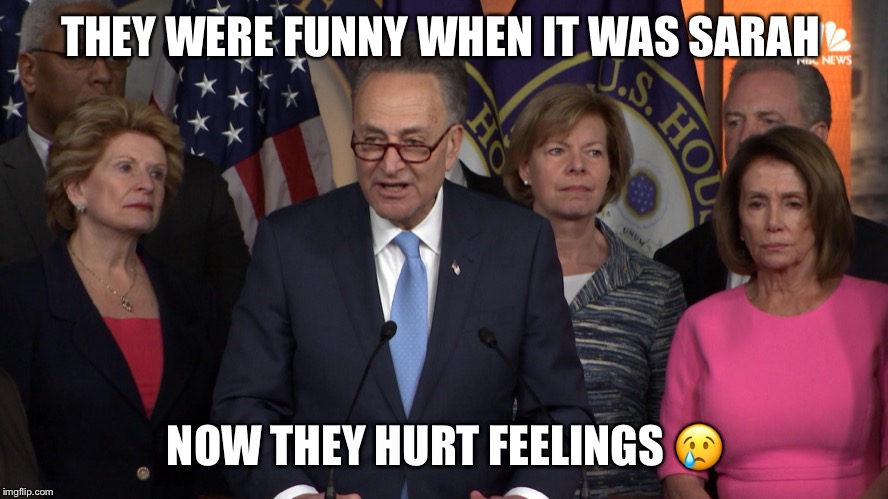 Democrat congressmen | THEY WERE FUNNY WHEN IT WAS SARAH NOW THEY HURT FEELINGS ? | image tagged in democrat congressmen | made w/ Imgflip meme maker