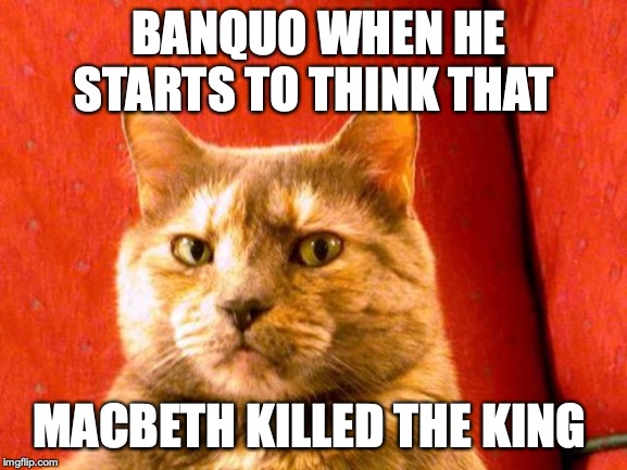 Suspicious Cat Meme | BANQUO WHEN HE STARTS TO THINK THAT; MACBETH KILLED THE KING | image tagged in memes,suspicious cat | made w/ Imgflip meme maker