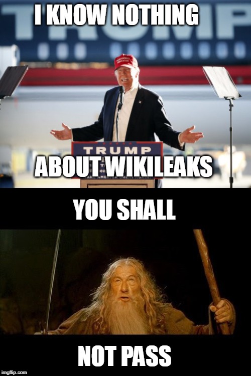 I KNOW NOTHING; ABOUT WIKILEAKS; YOU SHALL; NOT PASS | image tagged in wikileaks,you shall not pass gandalf | made w/ Imgflip meme maker