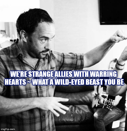 DMB The Space Between | WE’RE STRANGE ALLIES WITH WARRING HEARTS ~ WHAT A WILD-EYED BEAST YOU BE | image tagged in dmb,dave matthews band,dave matthews,dave,the space between,beast | made w/ Imgflip meme maker