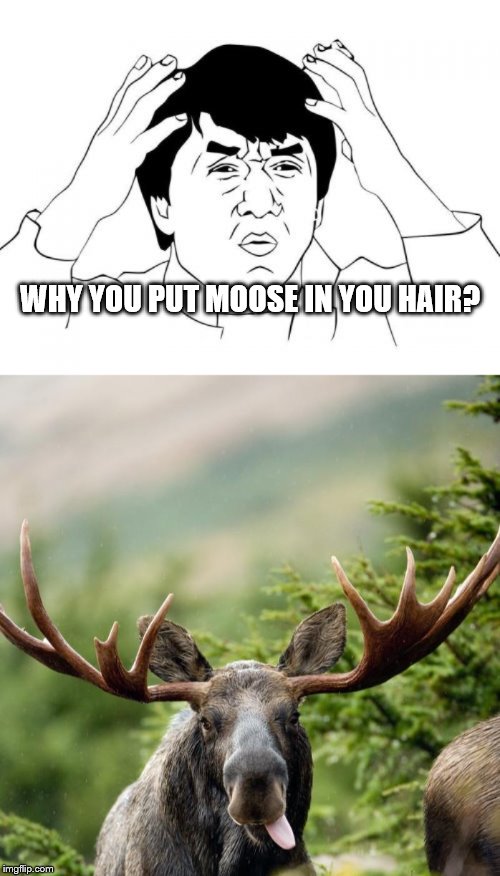 WHY YOU PUT MOOSE IN YOU HAIR? | image tagged in memes,jackie chan wtf,moose | made w/ Imgflip meme maker