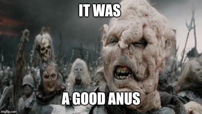 parliamentary orc | IT WAS A GOOD ANUS | image tagged in parliamentary orc | made w/ Imgflip meme maker