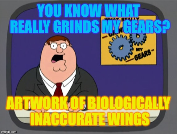 I’m kind of a biology nerd so this bothers me a lot | YOU KNOW WHAT REALLY GRINDS MY GEARS? ARTWORK OF BIOLOGICALLY INACCURATE WINGS | image tagged in memes,peter griffin news | made w/ Imgflip meme maker