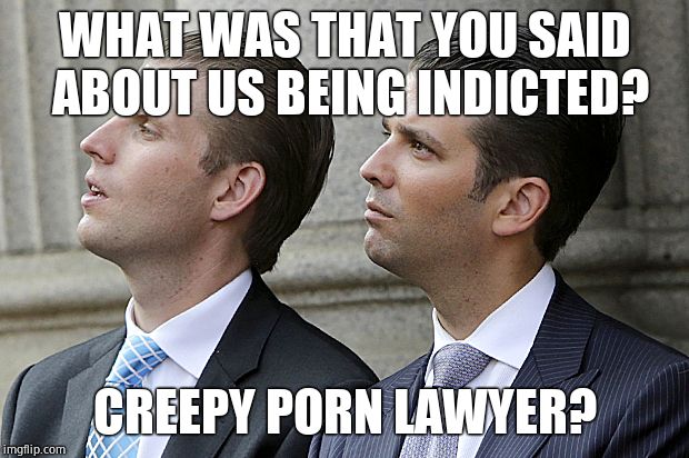 Don Jr. and Eric Trump | WHAT WAS THAT YOU SAID ABOUT US BEING INDICTED? CREEPY PORN LAWYER? | image tagged in don jr and eric trump | made w/ Imgflip meme maker