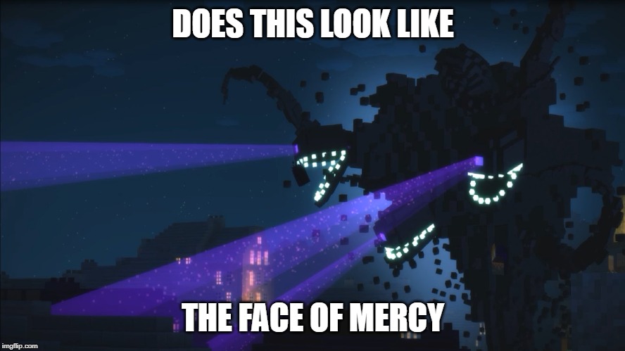 literal death stare | DOES THIS LOOK LIKE; THE FACE OF MERCY | image tagged in minecraft | made w/ Imgflip meme maker