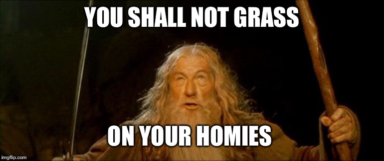 gandalf you shall not pass | YOU SHALL NOT GRASS ON YOUR HOMIES | image tagged in gandalf you shall not pass | made w/ Imgflip meme maker