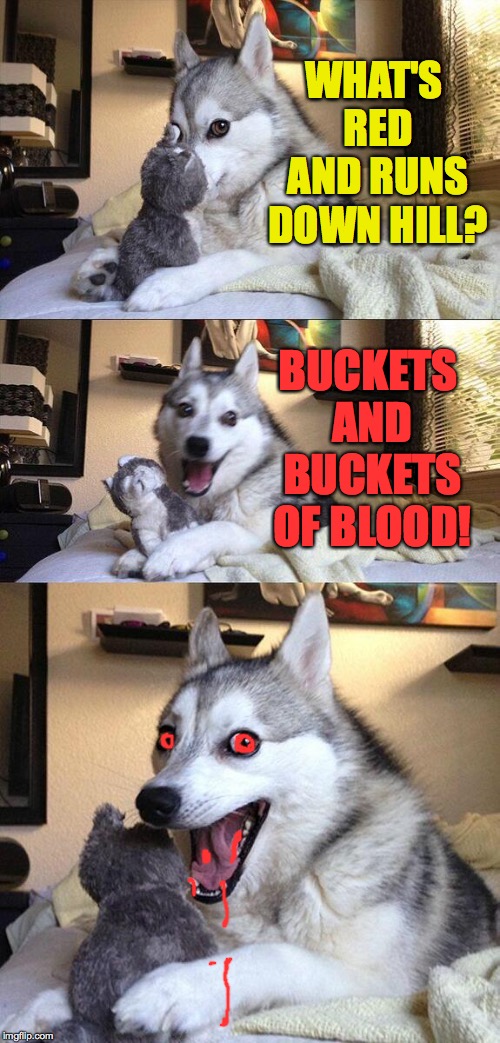 Bad Pun Dog Meme | WHAT'S RED AND RUNS DOWN HILL? BUCKETS AND BUCKETS OF BLOOD! | image tagged in memes,bad pun dog | made w/ Imgflip meme maker
